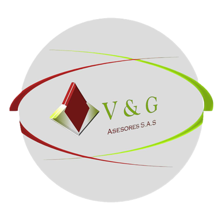 VyG Asesores SAS